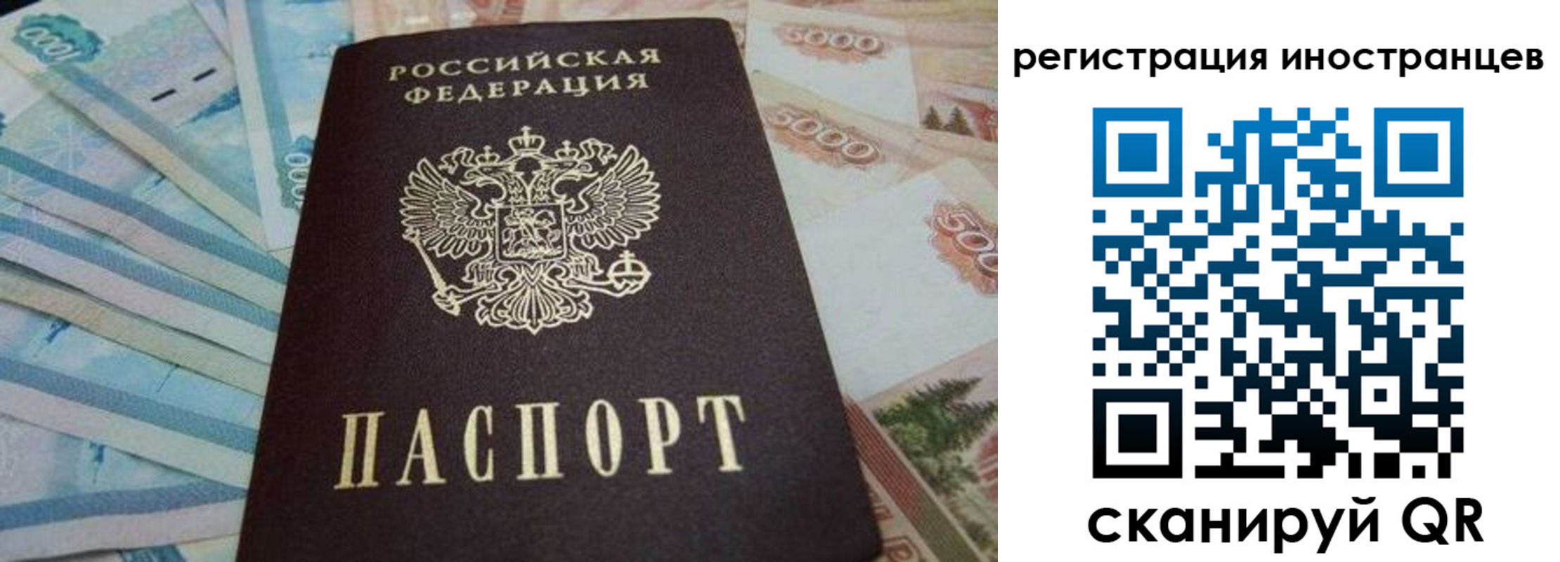 прописка гарантия в Рыбинске